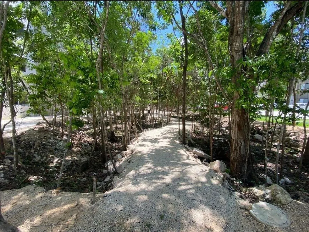 Natura Apartment Playa del Carmen